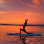 Stand up paddle
